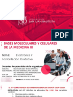 9.1 Semana Teoria Fosforilacion Oxidativa y Transporte de Electrones