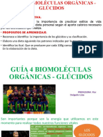 Guia 4567 Biomoleculas Organicas