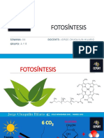 Bioenergetica II Fotosíntesis-Copiar