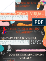 Discapacidad Visual - Concluido