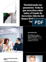 Fondo de Inv. OPCIÓN Banco N. de Bolivia