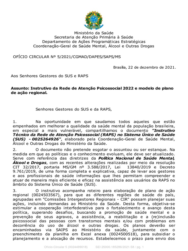 Instrutivo RAPS 2022 para Gestores do SUS | PDF | Saúde mental ...