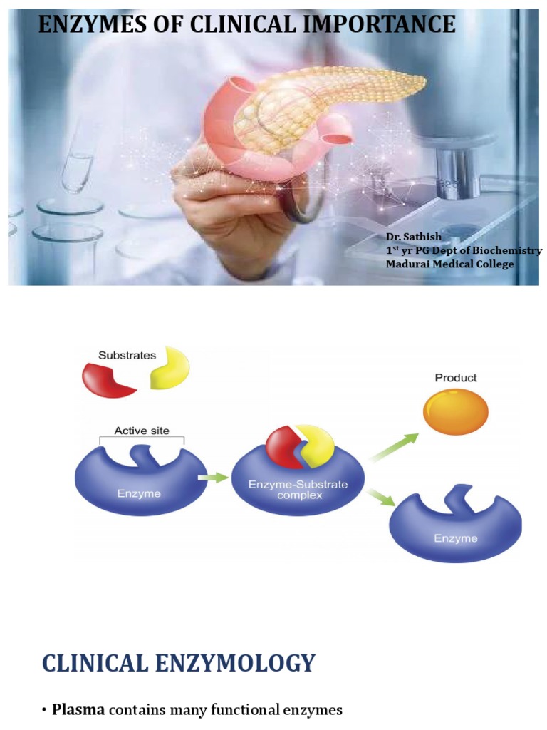 ENZYMES OF CLINICAL IMPORTANCE Chapter PDF Alanine Transaminase