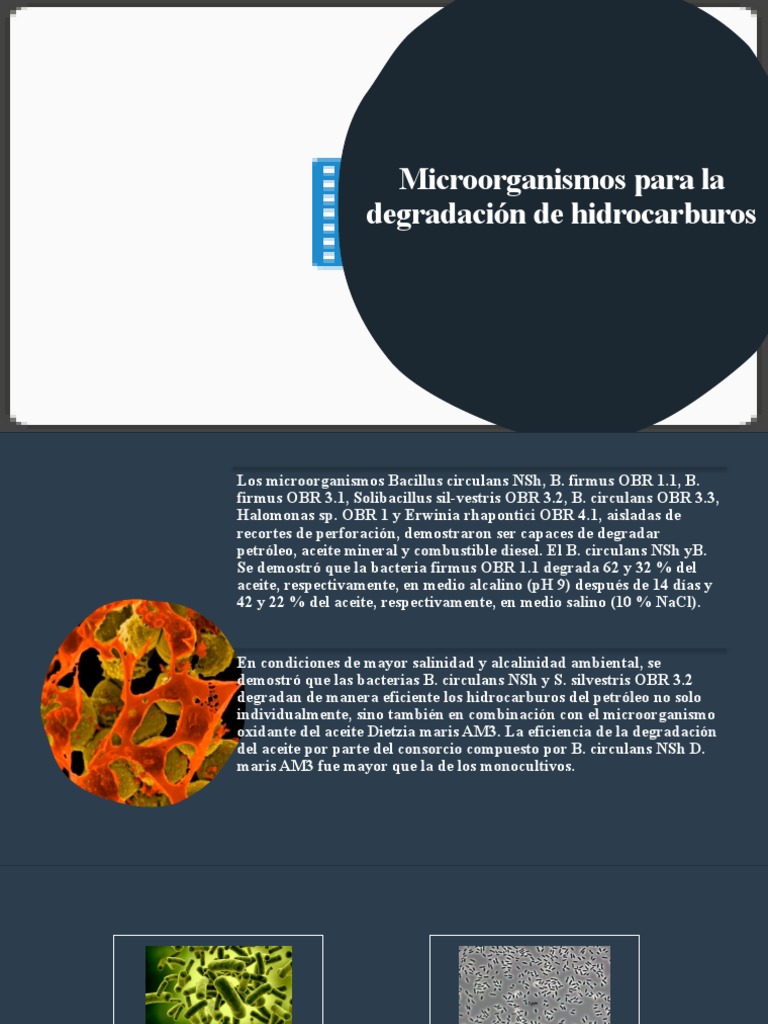 Microorganismos para degradar hidrocarburos | PDF | Petróleo ...