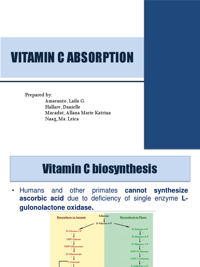 Vitamin C Absorption PDF Vitamin C Vitamin