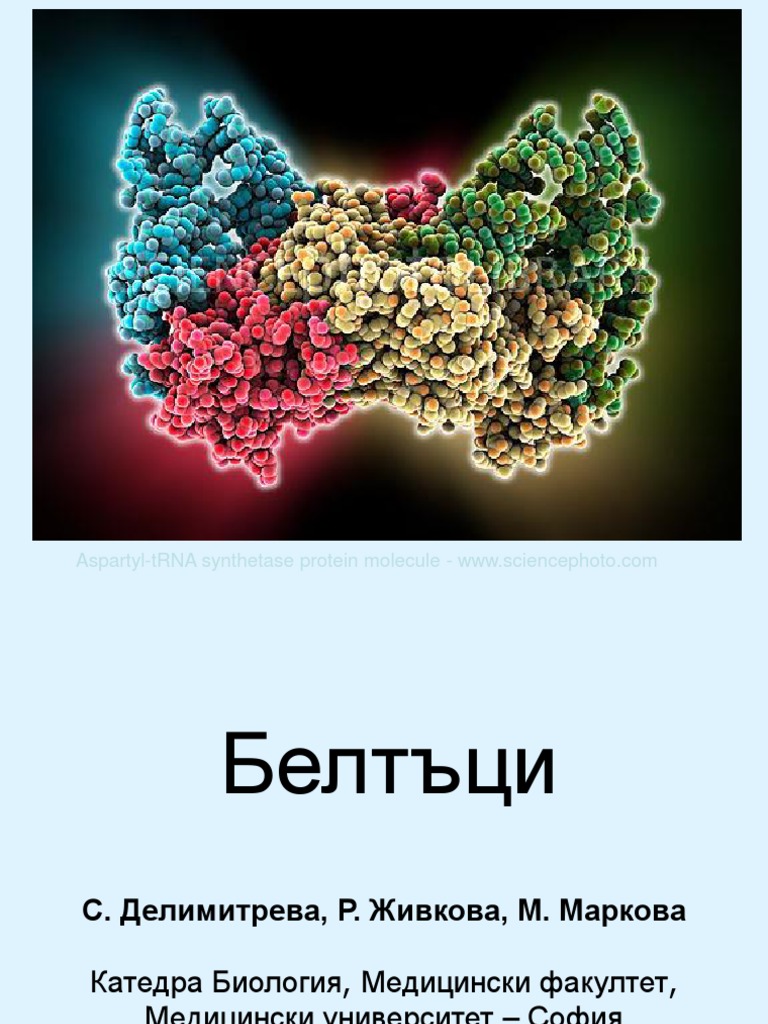 Белтъци | PDF