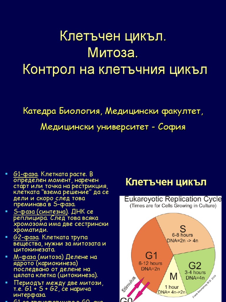 Митоза | PDF