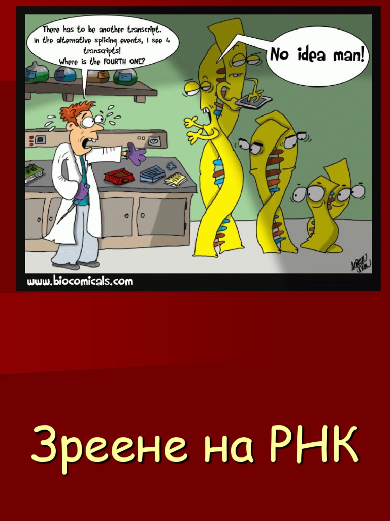 Зреене | PDF