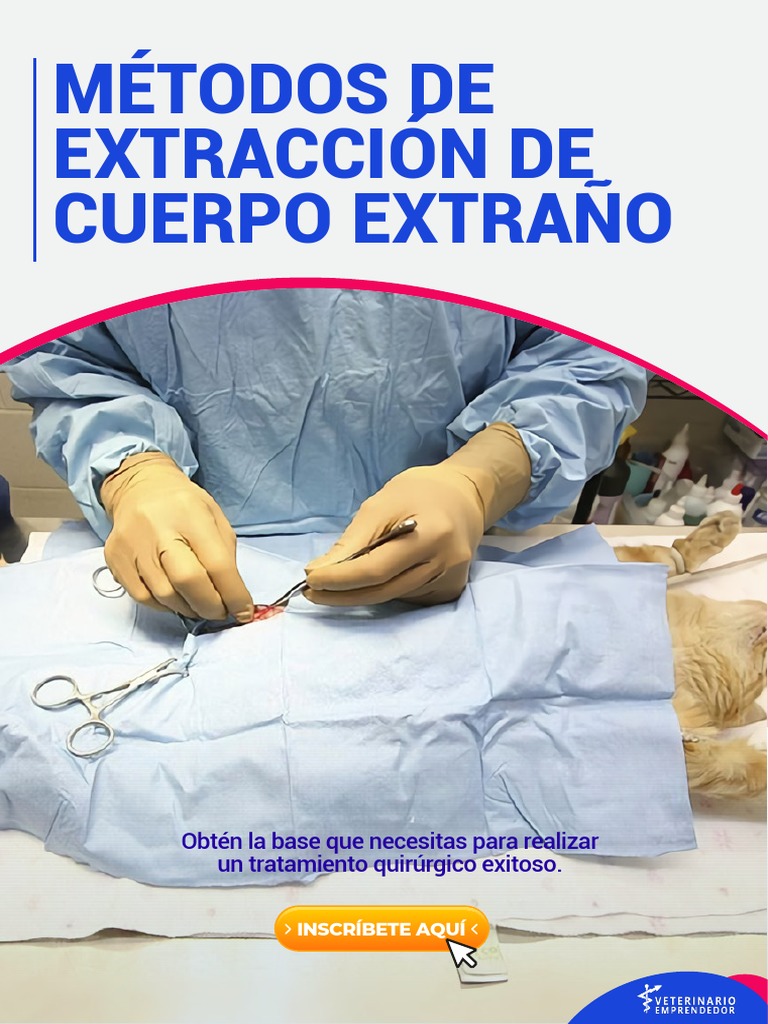 metodo-de-extracci-n-de-cuerpo-extra-o-pdf-cirug-a-medicina-clinica