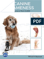 Canine Lameness 