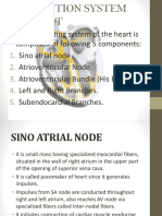 Introduction To Electrocardiogram