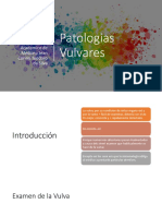 Patologias Vulvares Versión Editada