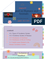 Transport in Animal & Human p2