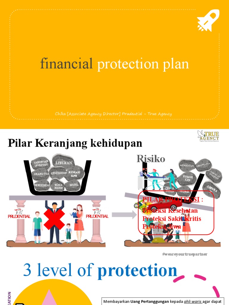Financial Protection Plan | PDF