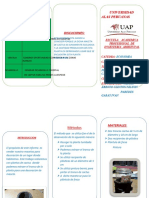 Resultado y Discusiones Triptico