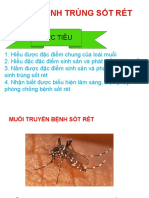 Bài 3 - Kí Sinh Trùng Sốt Rét