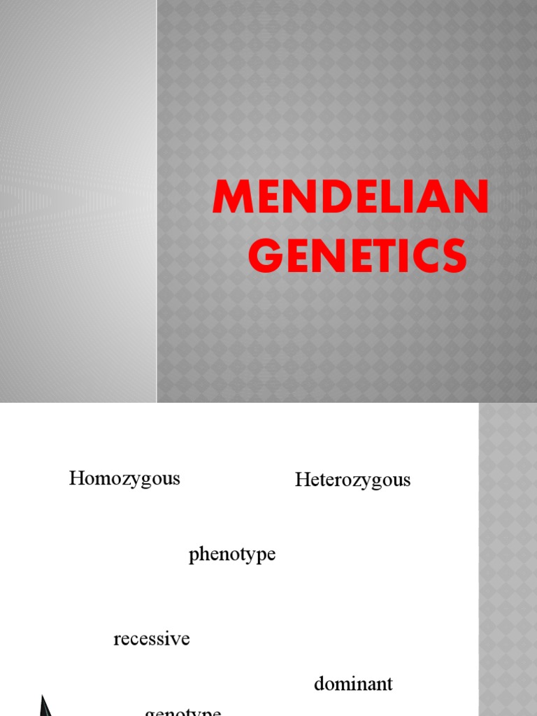 Monohybrid Cross 4th COT PDF Genotype Dominance