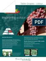 Vitazyme Grapes Colour SFS Technical