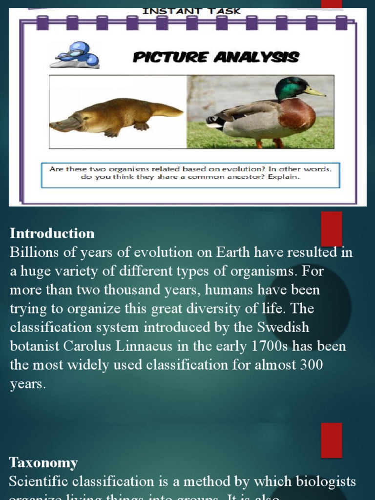 Biology 2 Lesson Pdf Taxonomy Biology Species