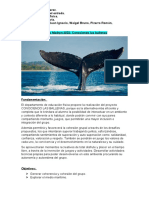 Puerto Madryn 2022 Ballenas