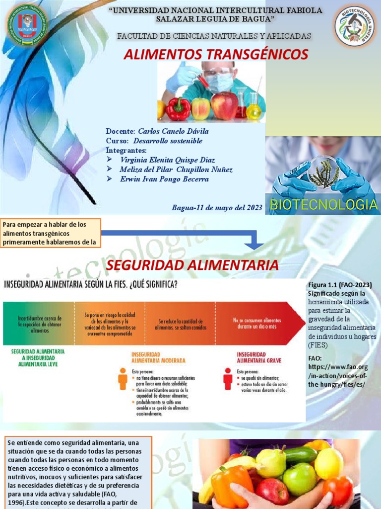 Desarrollo Sotenible Pdf Seguridad Alimentaria Organización De
