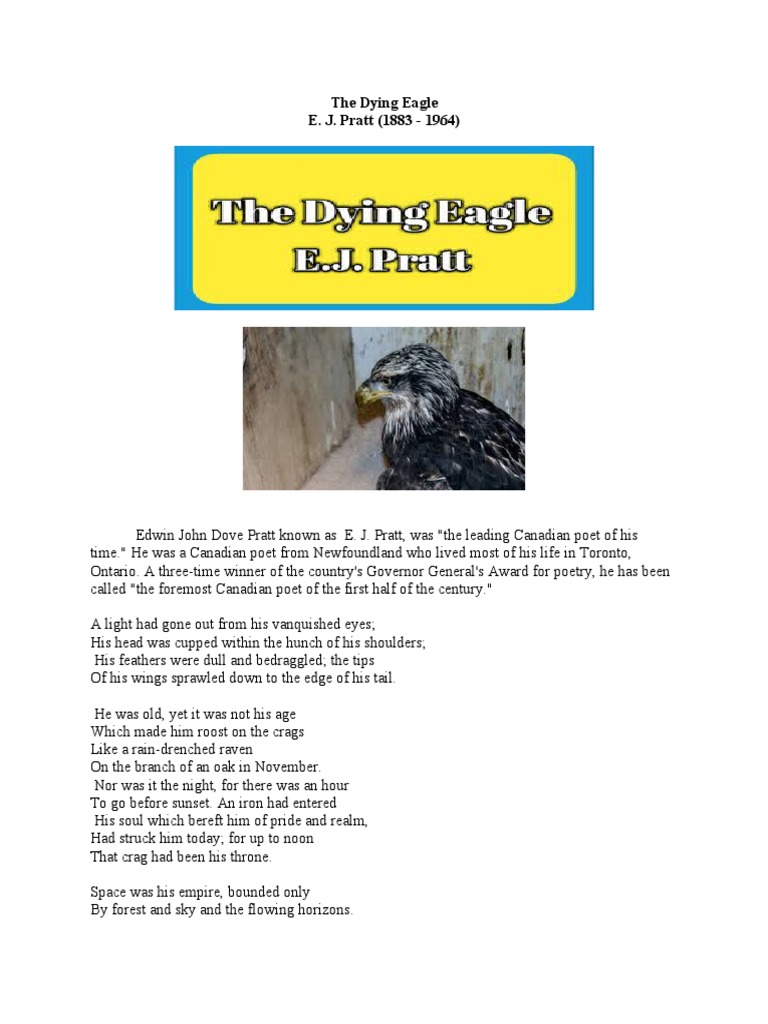 98-Commonwealth Literature-Unit - I - The Dying Eagle by E.J. Pratt | PDF | Birds | Eagle