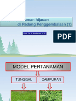 Model Pertanaman D Padang Penggembalaan