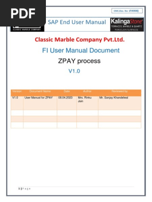 Fi008 - V00-Zpay User Manual | PDF | Invoice | Payments