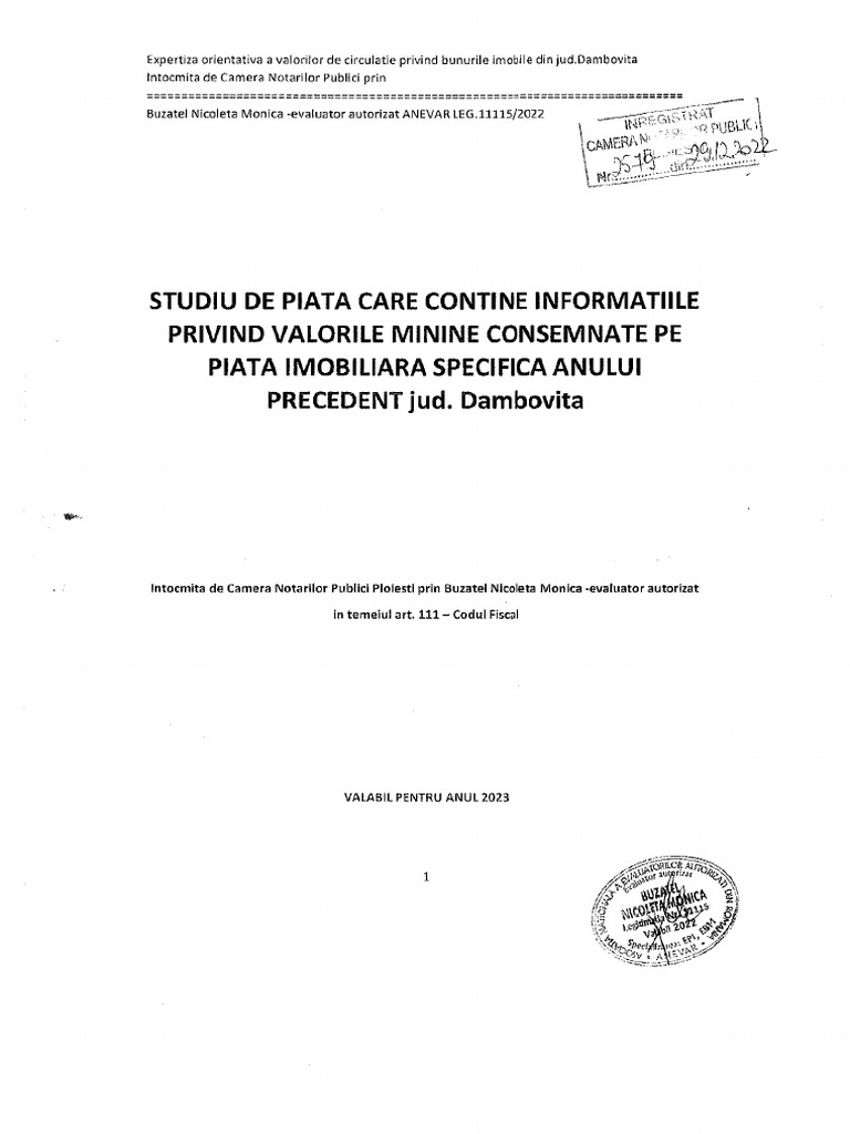 Studiu de Piata 2023 PDF