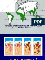 Epidemiologie Carie - Boala Parodontala