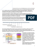 Apuntes. Qué Es La Fisiología