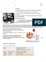 Hematologia