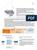 Apuntes. El Sistema Nervioso