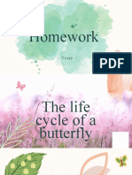 The Life Cycle of A Butterfly