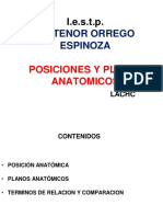 Posiciones Anatomicas Clase II 2023-1