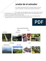 Recursos Naturales de El Salvador2