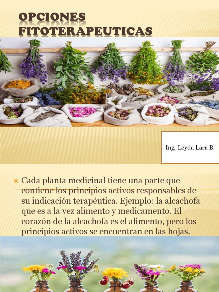 Fitoterapia AA | PDF | Plantas medicinales | Infección