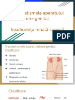 Traumatismele aparatului uro-genital. Insuficienta renala cronica