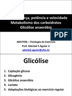 FEx Glicolise 2019-2