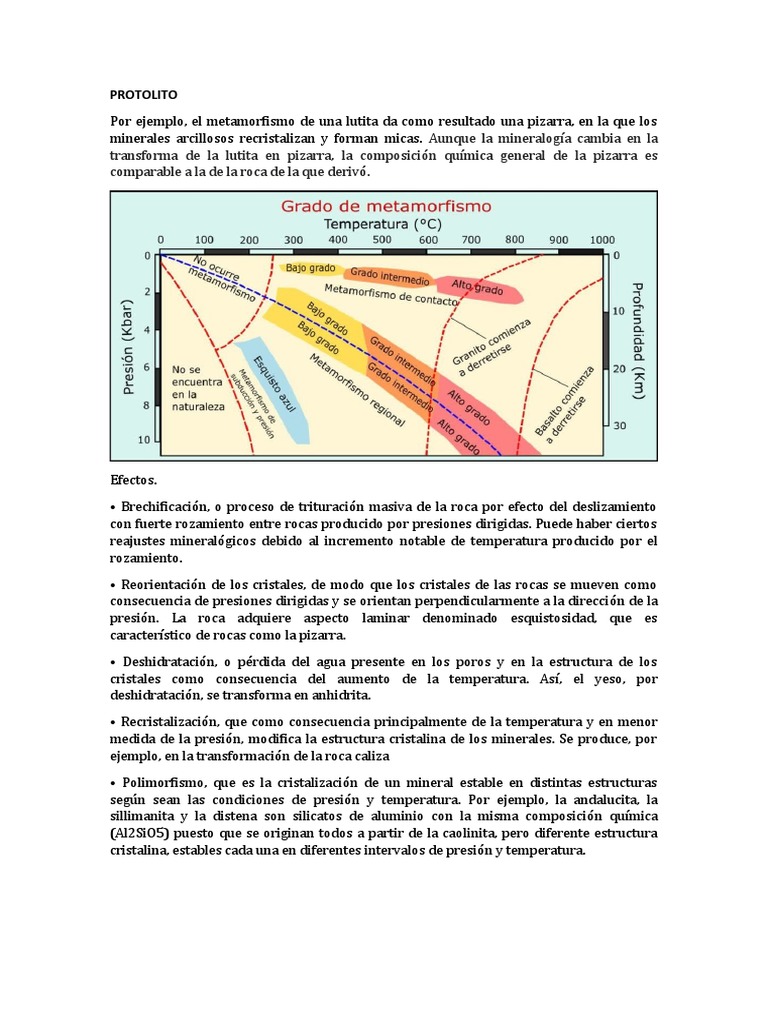PROTOLITO | PDF