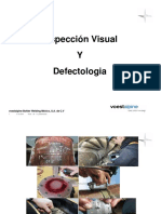 Inspeccion Visual y Defectologia