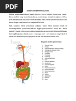 Download Sistem pencernaan by Sonna Cahyadi Nugraha SN65596101 doc pdf