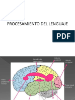 Procesamiento Del Lenguaje