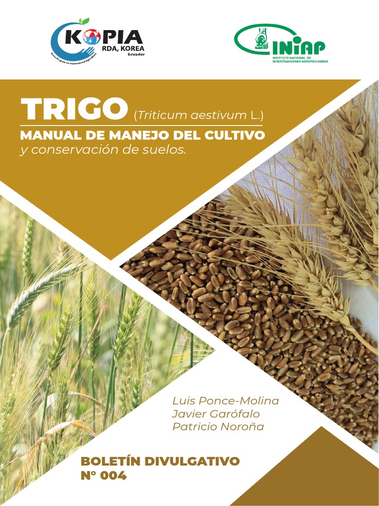 Manual de Cultivo de Trigo en Ecuador | PDF | Agricultura | Siembra
