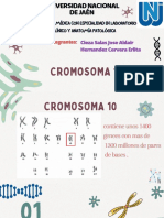 Cromosoma 10