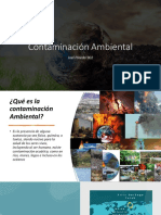 Presentación Contaminacion Ambiental