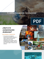 Presentación Contaminacion Ambiental