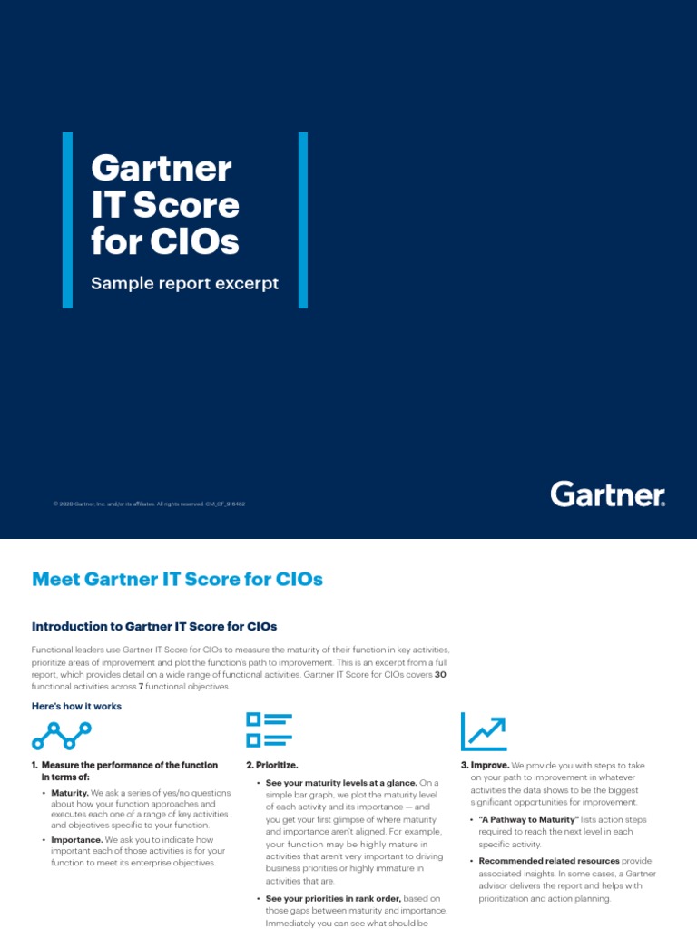 Gartner It Score Sample Report PDF Chief Information Officer