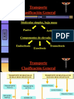 05-Transportes Pasivos-Resumen Gráfico