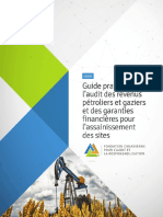 Guide Pratique Sur L'audit Des Revenus Petroliers Et Gaziers Et Des Garanties Financieres Pour L'assainissement Des Sites